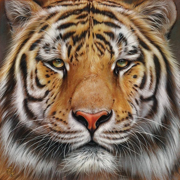 Elena Kolotusha: Faces Of The Wild - Amur Tiger by Elena Kolotusha