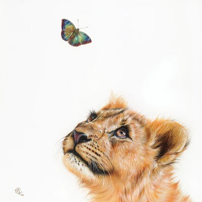 Dreamer by Elena Kolotusha canvas print