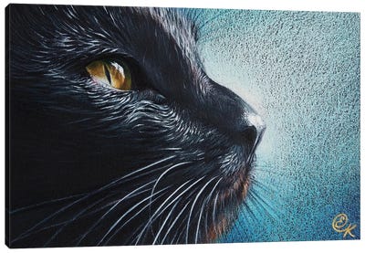 Thoughtful Cat Canvas Art Print - Elena Kolotusha