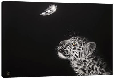 Feather Hunt Canvas Art Print - Elena Kolotusha