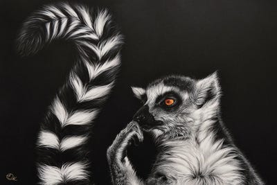 Lemurs