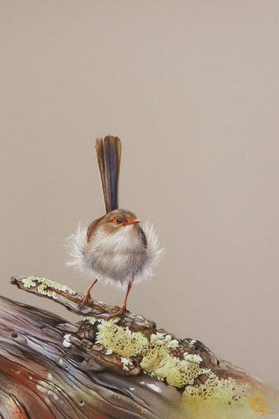 Mossy Snag by Elena Kolotusha canvas print