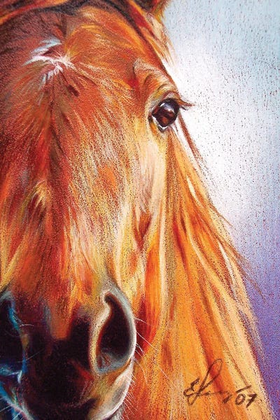 Chestnut by Elena Kolotusha canvas print