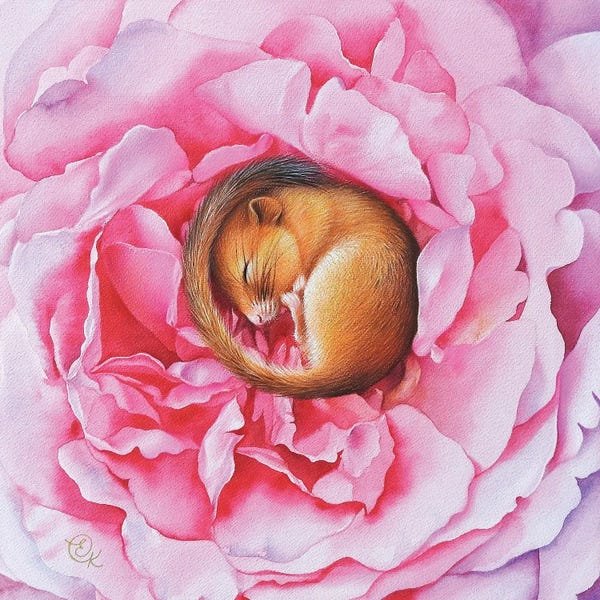 Elena Kolotusha: Flower Dreams by Elena Kolotusha