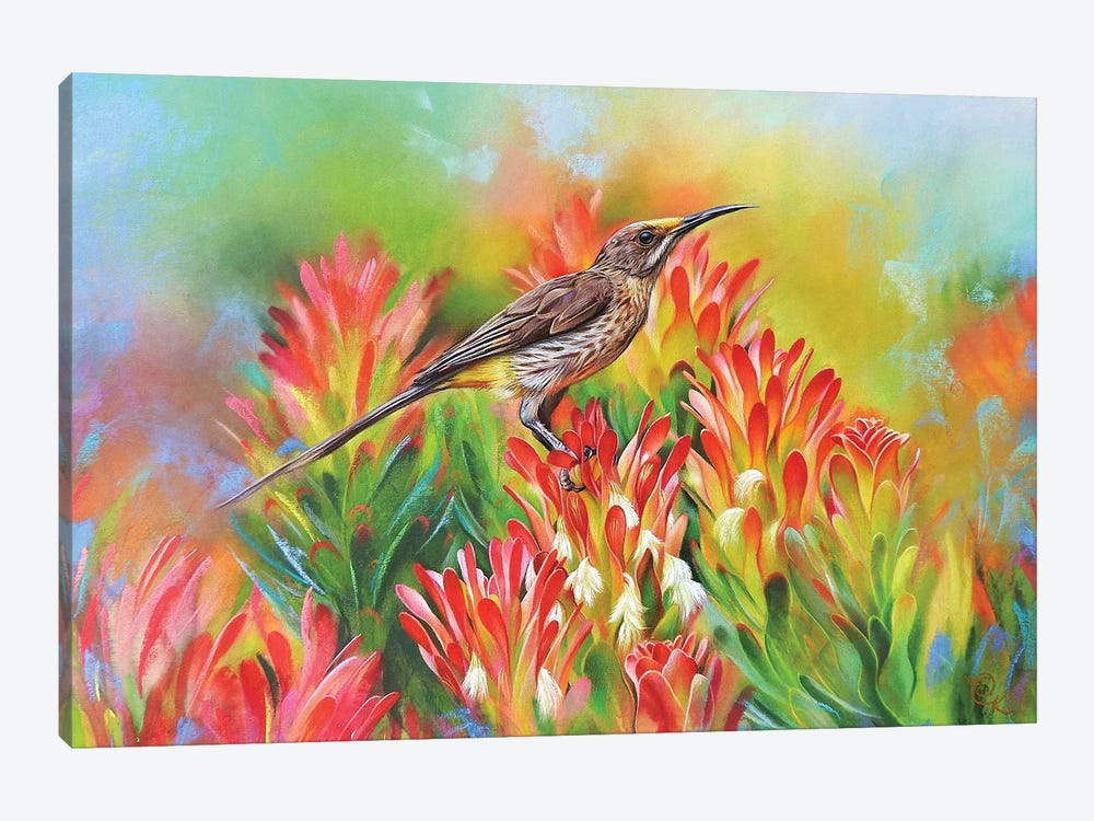 Among Proteas - Cape Sugarbird by Elena Kolotusha 1-piece Canvas Art Print