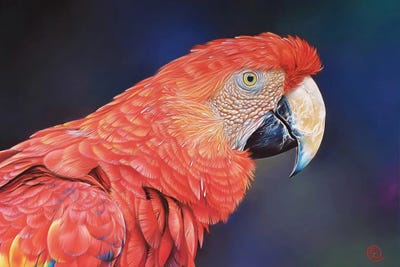 Scarlet Sentinel by Elena Kolotusha canvas print