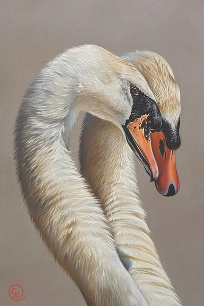 Love Birds: Tandem by Elena Kolotusha