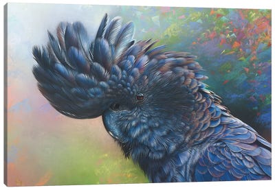 Black Rainbow Canvas Art Print - The Art of the Feather