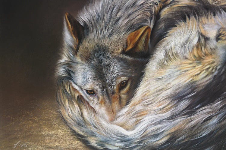 Watchful Rest (Grey Wolf)