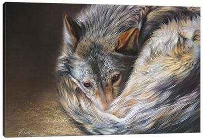 Watchful Rest (Grey Wolf) Canvas Art Print - Elena Kolotusha