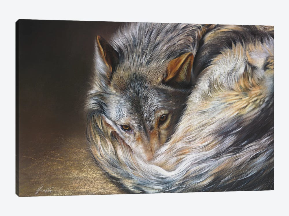 Watchful Rest (Grey Wolf) by Elena Kolotusha 1-piece Canvas Wall Art