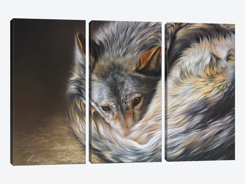 Watchful Rest (Grey Wolf) by Elena Kolotusha 3-piece Canvas Wall Art