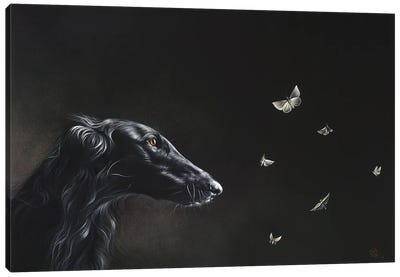 Tender Is The Night Canvas Art Print - Greyhound Art