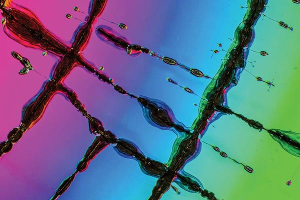 Abstract Photography: Compact Disc Future by Elena Kulikova