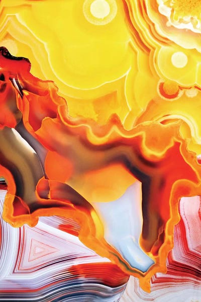 Abstract Photography: Earth's Core Flowers by Elena Kulikova