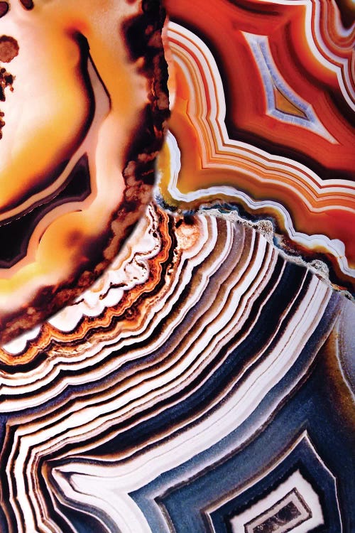 Earth's Loveliness In Earth Tones by Elena Kulikova wall art
