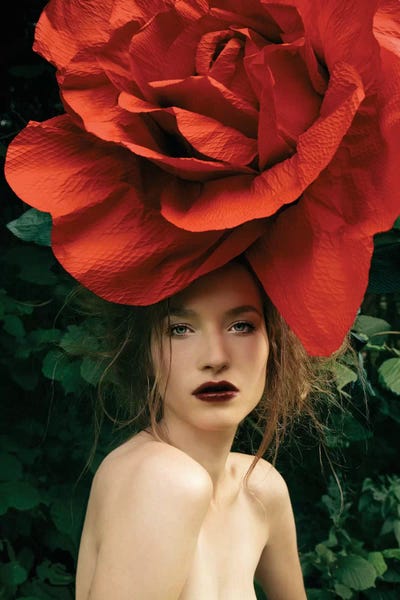 Lady Rose by Elena Kulikova acrylic art print