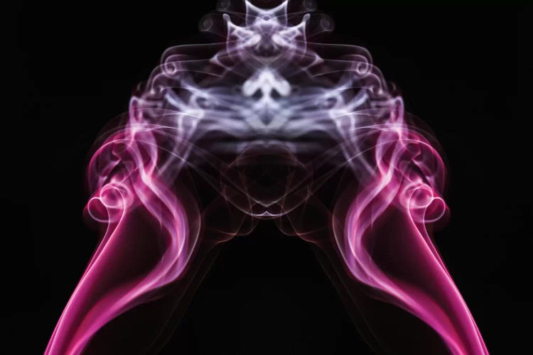 Beauty Of Aerodynamics, Magenta by Elena Kulikova wall art