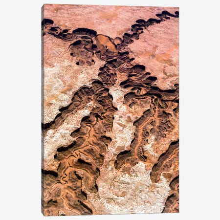 Grand Canyon Canvas Print #EKU85} by Elena Kulikova Canvas Wall Art