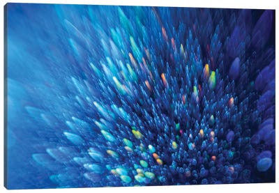 Blue Stardust Canvas Art Print - Abstract Photography