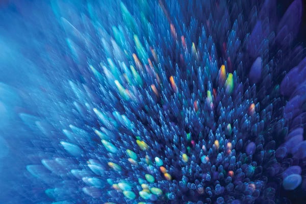 Abstract Photography: Blue Stardust by Elena Kulikova