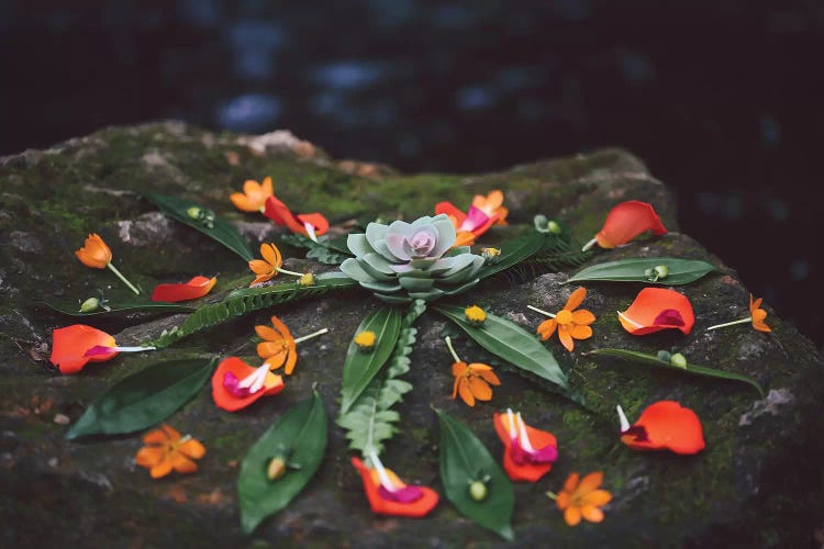 Floral Mandala