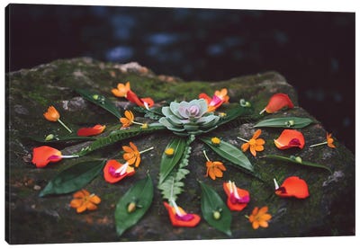Floral Mandala Canvas Art Print - Elena Kulikova