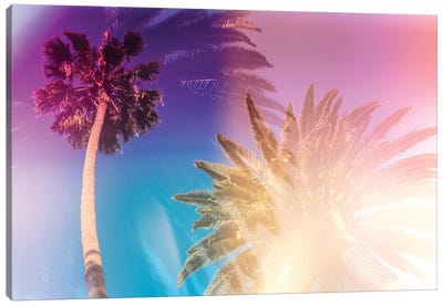 Tropical Palms Canvas Art Print - Beach Vibes