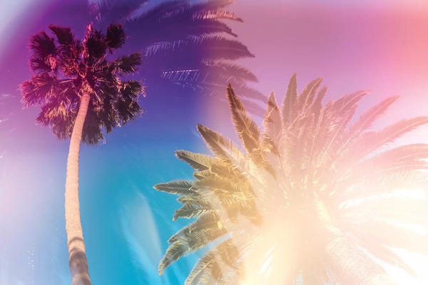 Double Exposure Photography: Tropical Palms by Elena Kulikova
