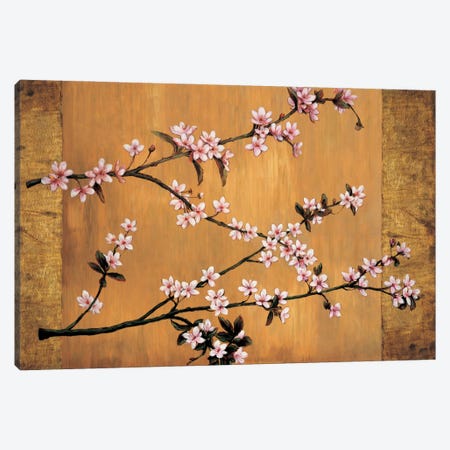 Cherry Blossoms Canvas Print #ELA11} by Erin Lange Canvas Art Print