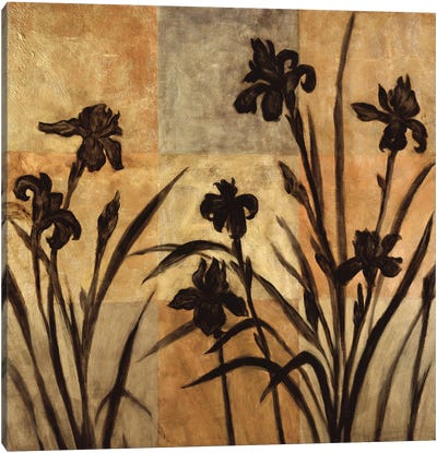 Iris Silhouette II Canvas Art Print