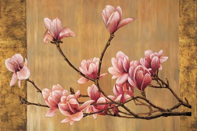 Pink Magnolias Canvas Print By Erin Lange Icanvas