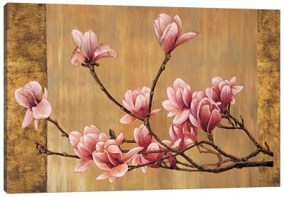 Pink Magnolias Canvas Art Print - Living Simpatico