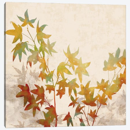 Turning Leaves I Canvas Print #ELA75} by Erin Lange Canvas Art
