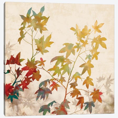 Turning Leaves II Canvas Print #ELA76} by Erin Lange Canvas Artwork
