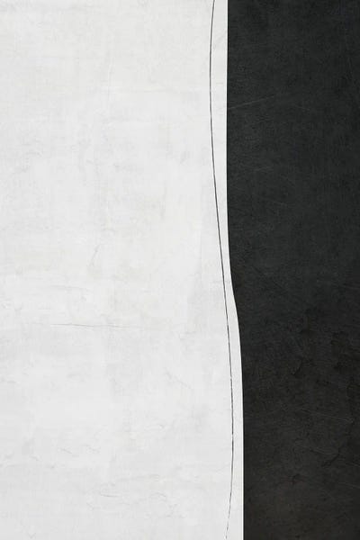 Organic Modern: B&W Minimalist I by EmcDesignLab