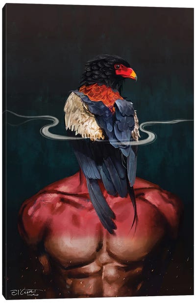 Bateleur Eagle Canvas Art Print - Eagle Art