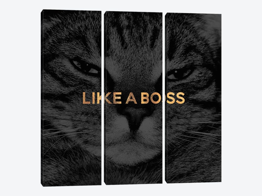Like A Boss by Elisabeth Fredriksson 3-piece Canvas Artwork