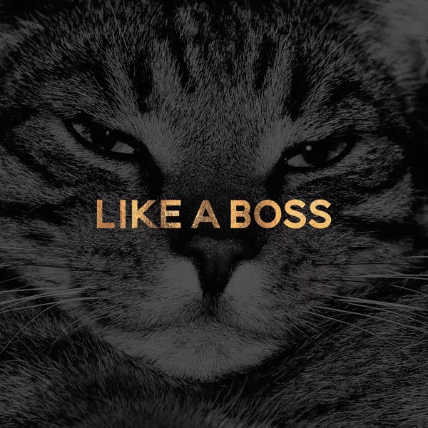 Elisabeth Fredriksson: Like A Boss by Elisabeth Fredriksson