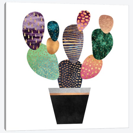 Pretty Cactus Canvas Print #ELF165} by Elisabeth Fredriksson Canvas Art Print