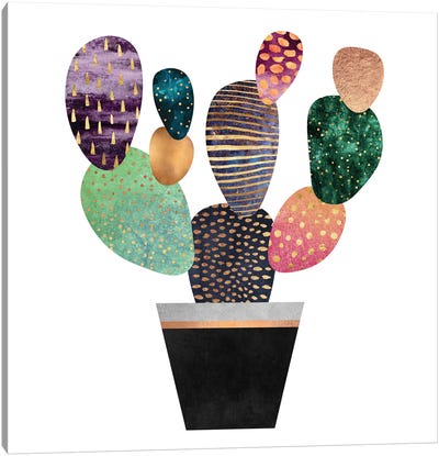 Pretty Cactus Canvas Art Print - Succulent Art
