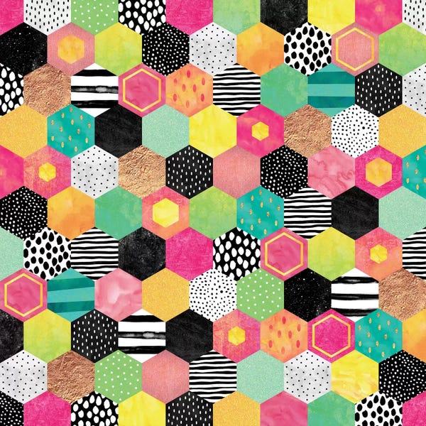 Elisabeth Fredriksson: Color Hive by Elisabeth Fredriksson