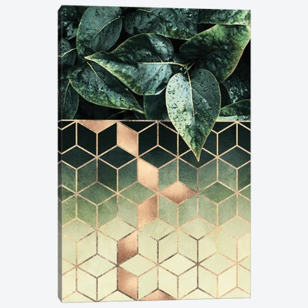 Leaves And Cubes II Canvas Print #ELF241} by Elisabeth Fredriksson Art Print