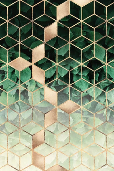 Elisabeth Fredriksson: Leaves And Cubes by Elisabeth Fredriksson