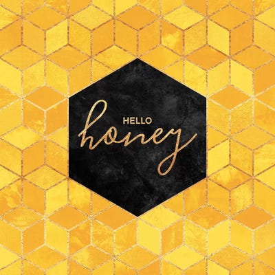 Hello Honey by Elisabeth Fredriksson framed canvas print
