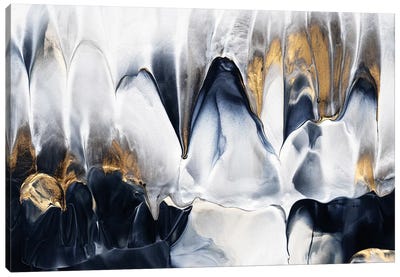 Abstract Flow II Canvas Art Print - Black, White & Gold Art