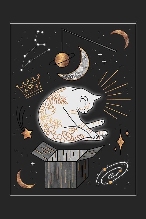 Ruler Of The Universe - Dreaming Cat