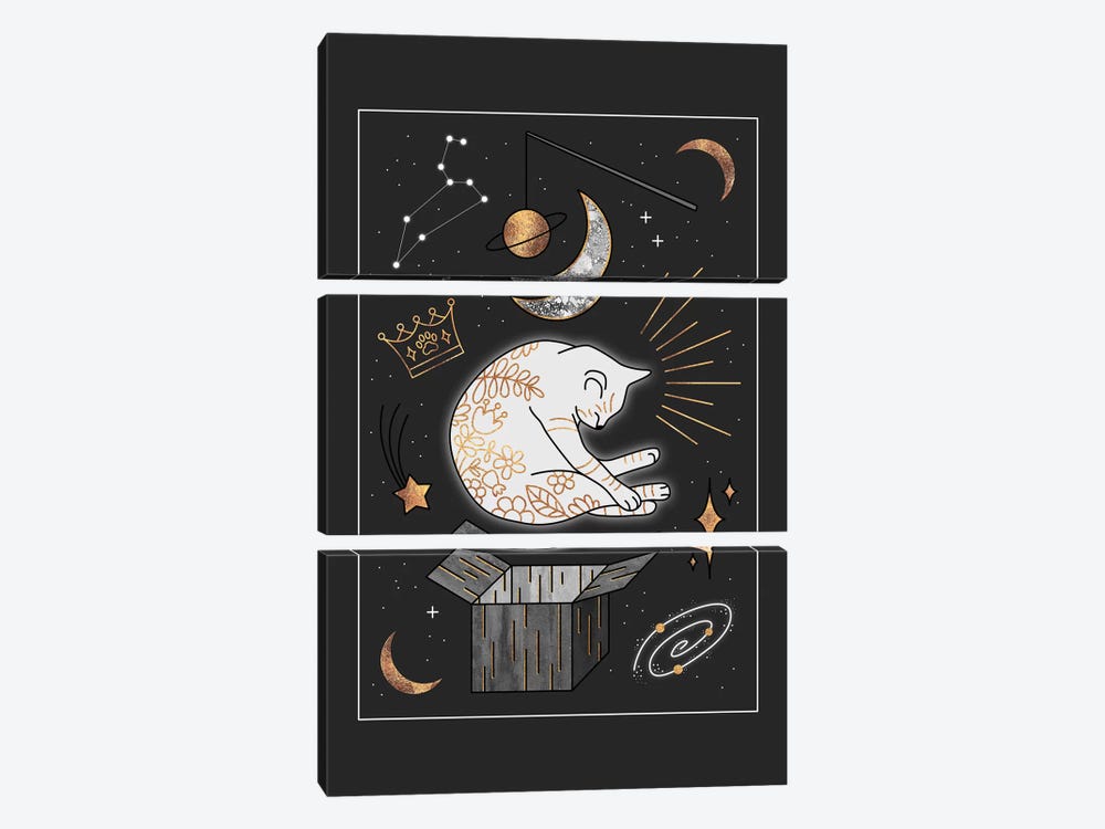 Ruler Of The Universe - Dreaming Cat by Elisabeth Fredriksson 3-piece Canvas Art