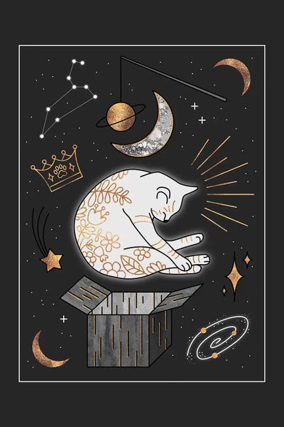 Elisabeth Fredriksson: Ruler Of The Universe - Dreaming Cat by Elisabeth Fredriksson