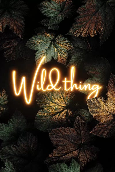 Wild Thing by Elisabeth Fredriksson framed canvas print